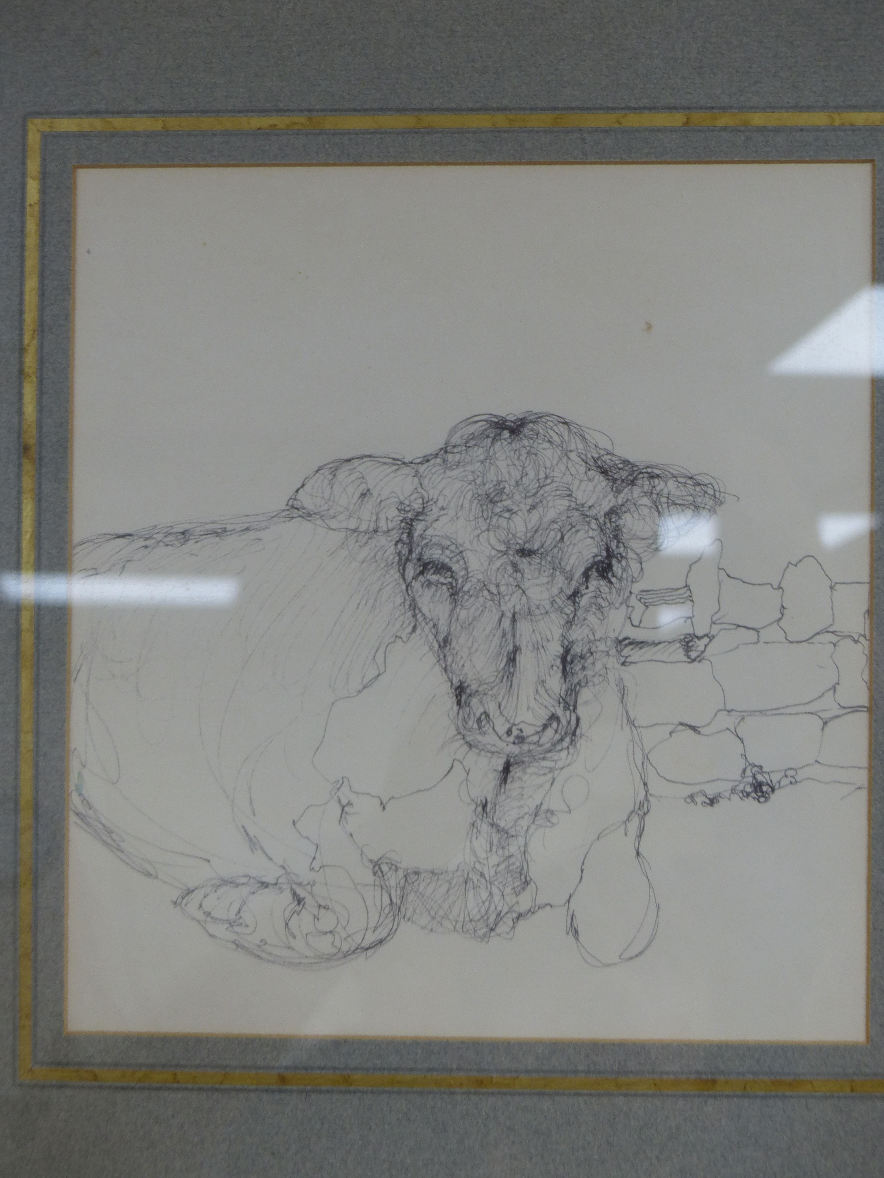 Sarah Gunner, pen and ink, Sketch of a seated bullock, 24 x 22cm, with a pencil and wash sketch of a bullock and two 19th century pen and ink landscapes